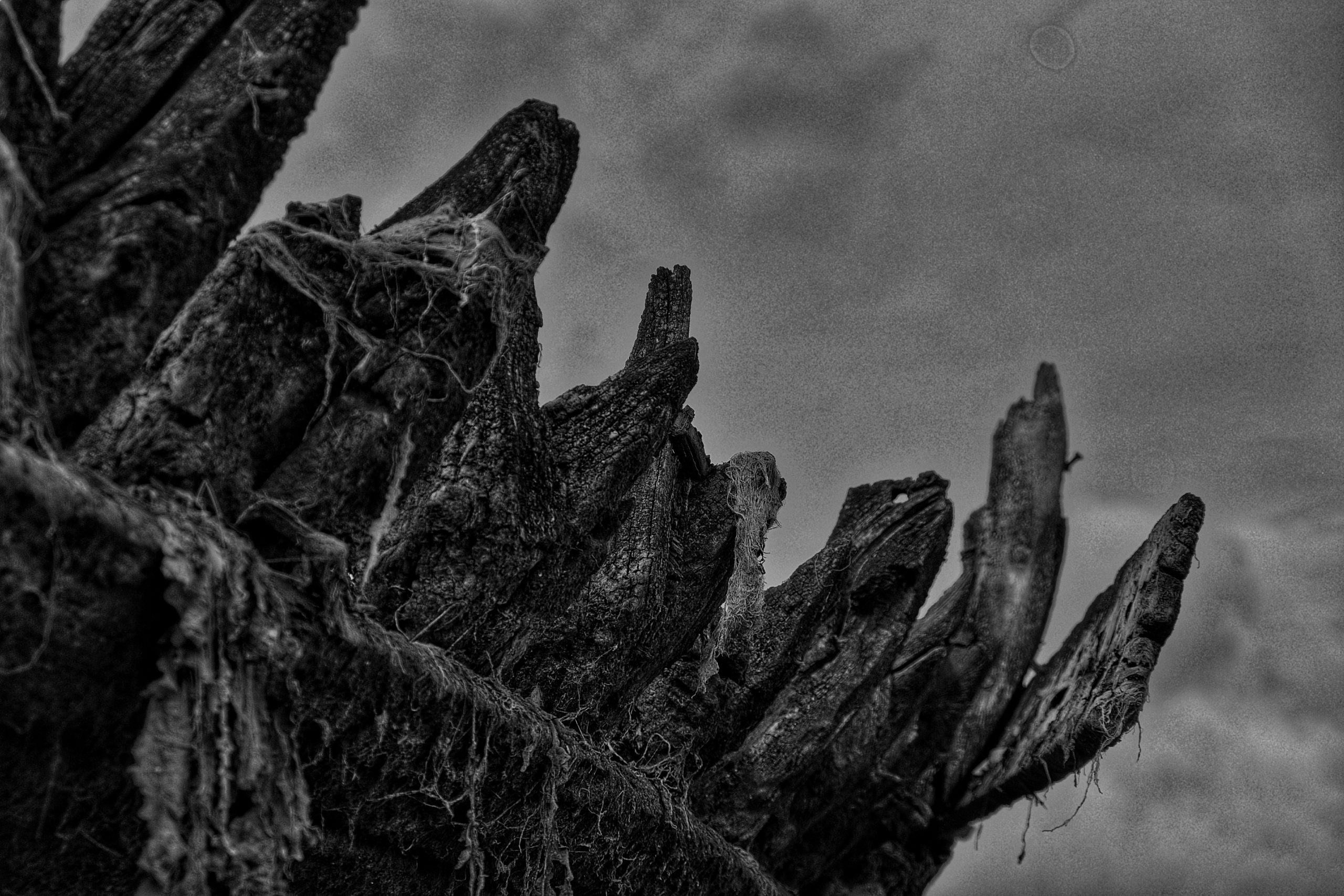 DSCF0735_01