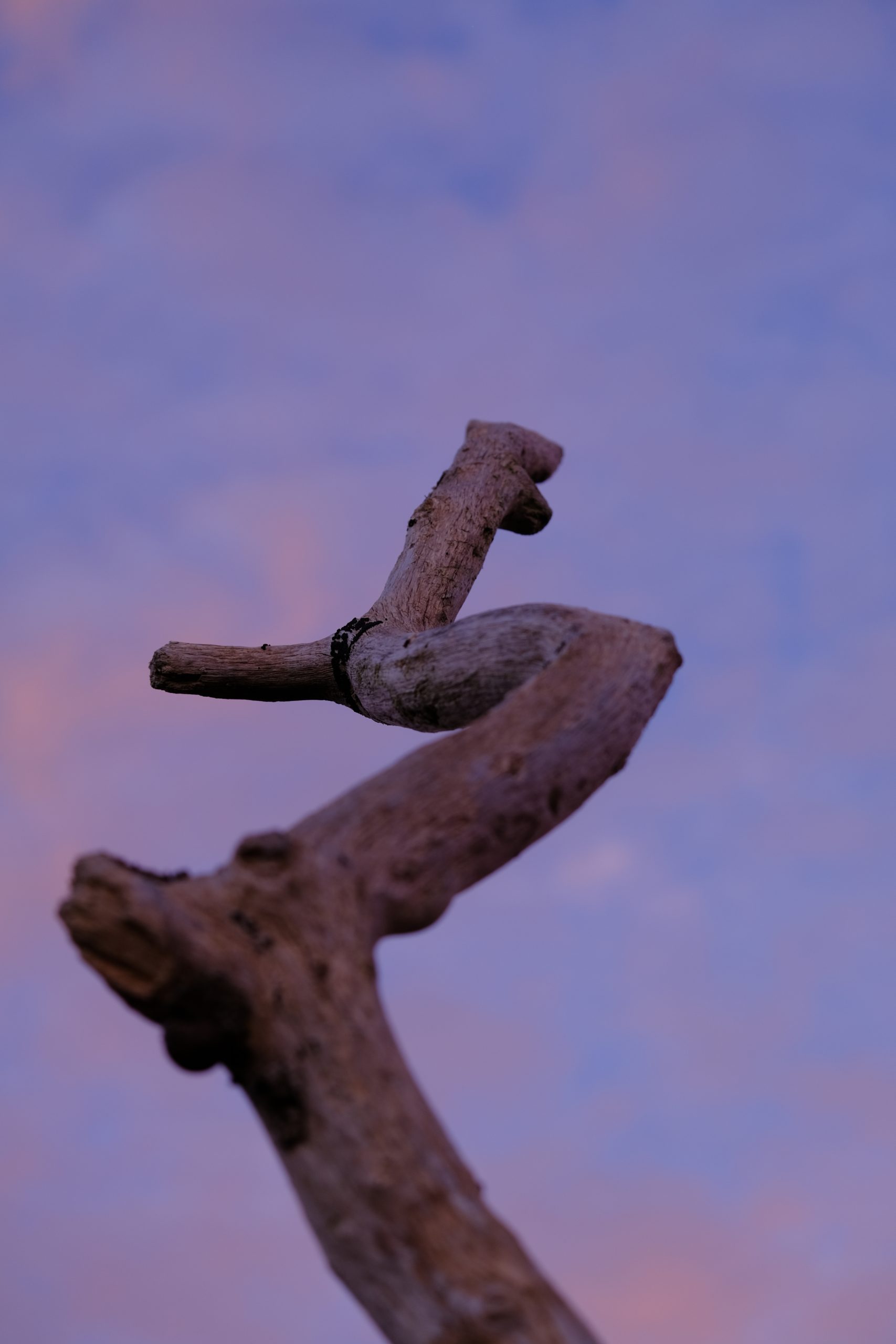 DSCF2632