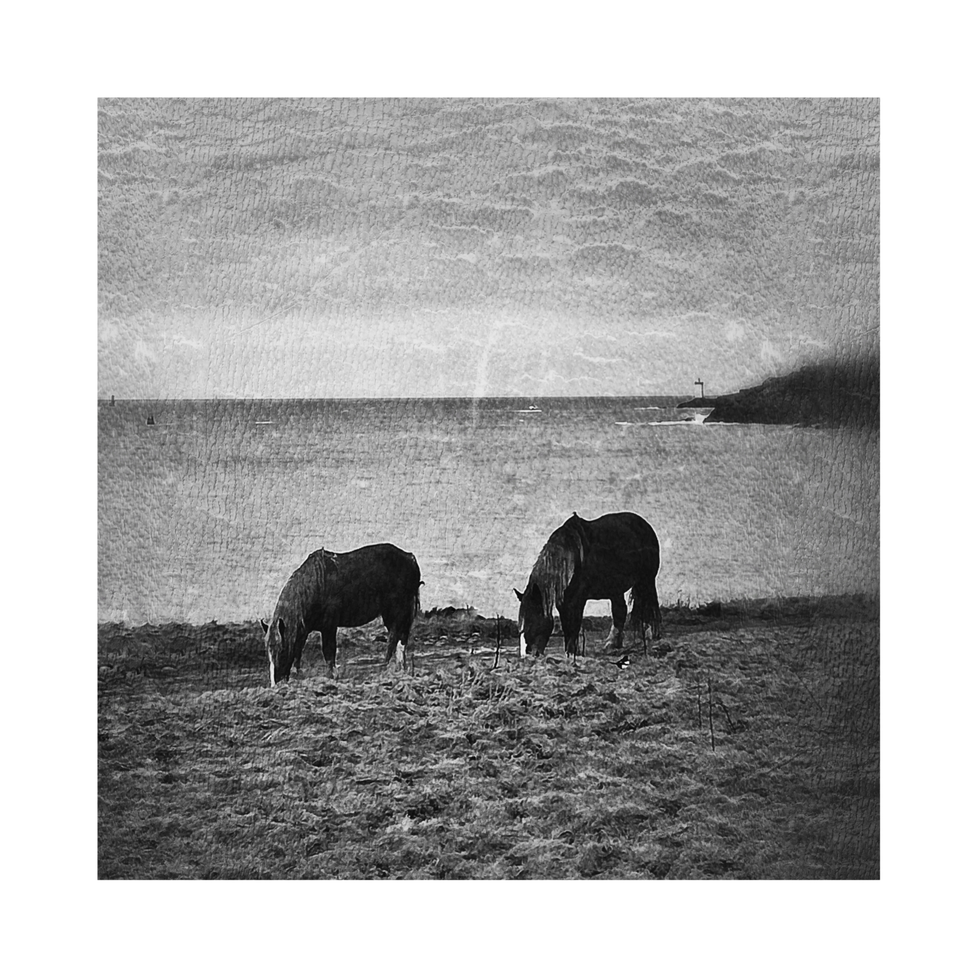inCollage_20210121_181404680